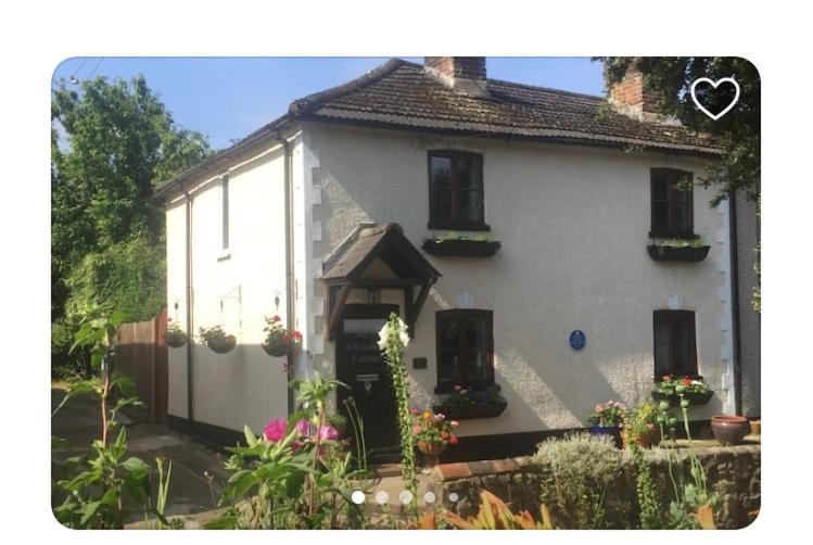 ويست مالينج Cricketers Cottage B&B المظهر الخارجي الصورة